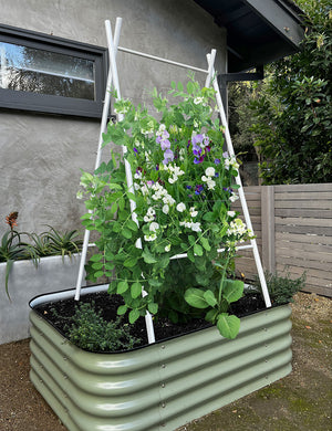 Modern A-Frame Trellis