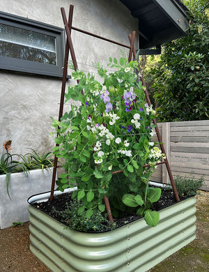 Modern A-Frame Trellis