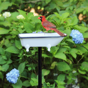 Splish-Splash Bird Bath