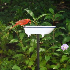 Splish-Splash Bird Bath