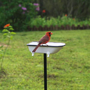 Splish-Splash Bird Bath