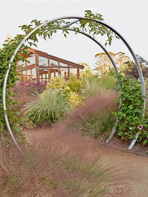 Gracie Modern Arbor