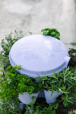 GreenStalk Spring Lid | Lilac