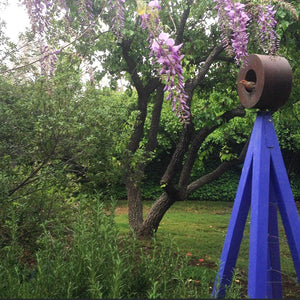 Bird Café with Trellis