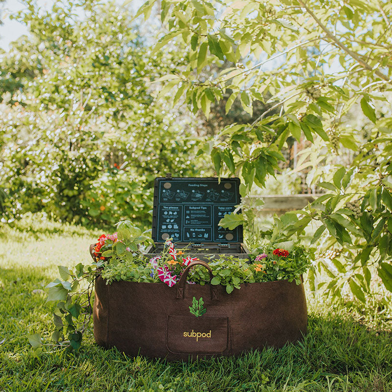 Start a Grow Bag Garden and Water It EASILY 